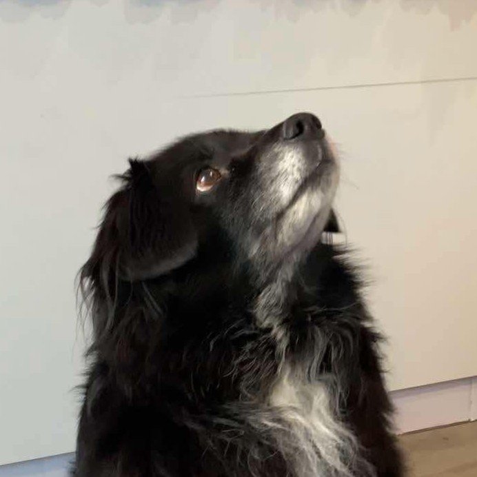 Maco